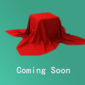 wc1 VLeather-Clad Leisure Chair