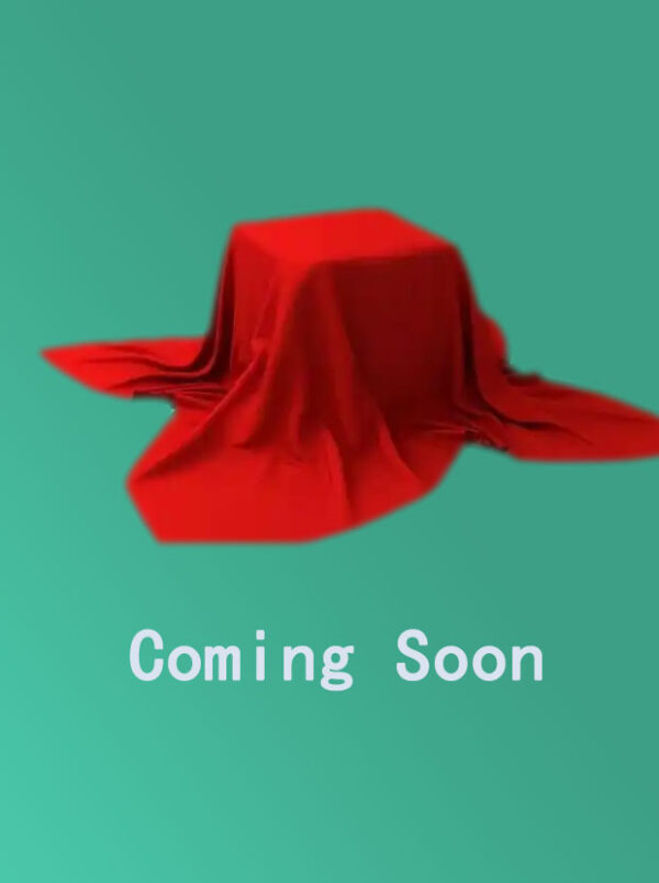 VLeather-Clad Leisure Chair